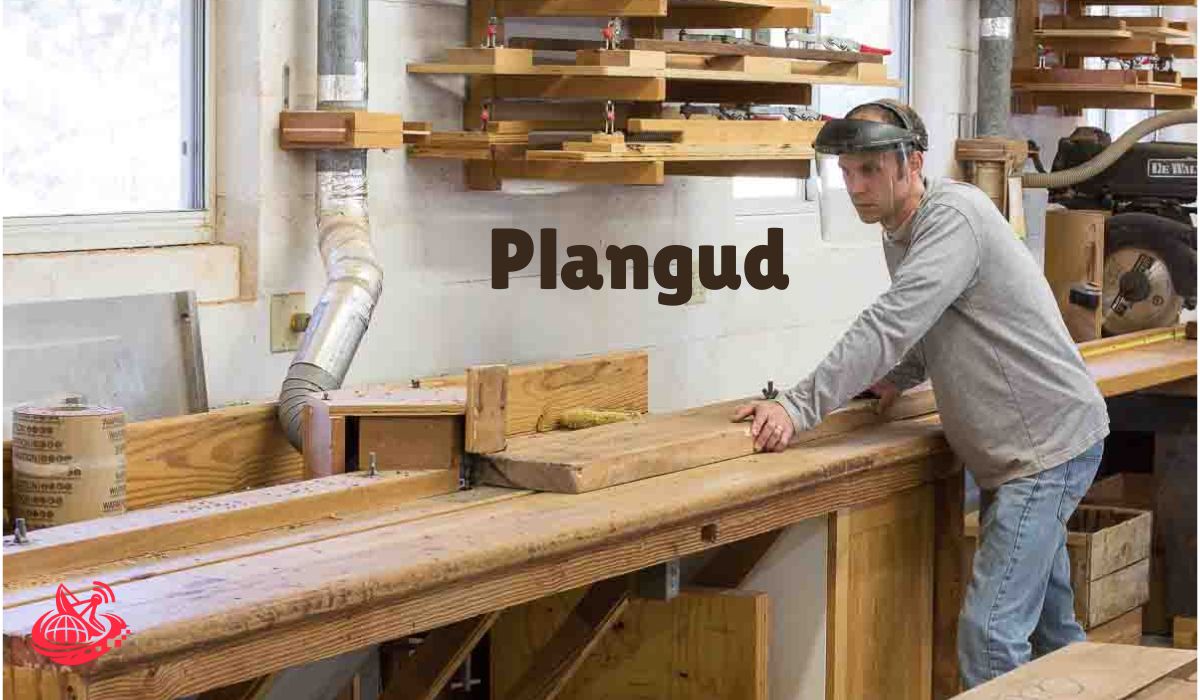 Plangud