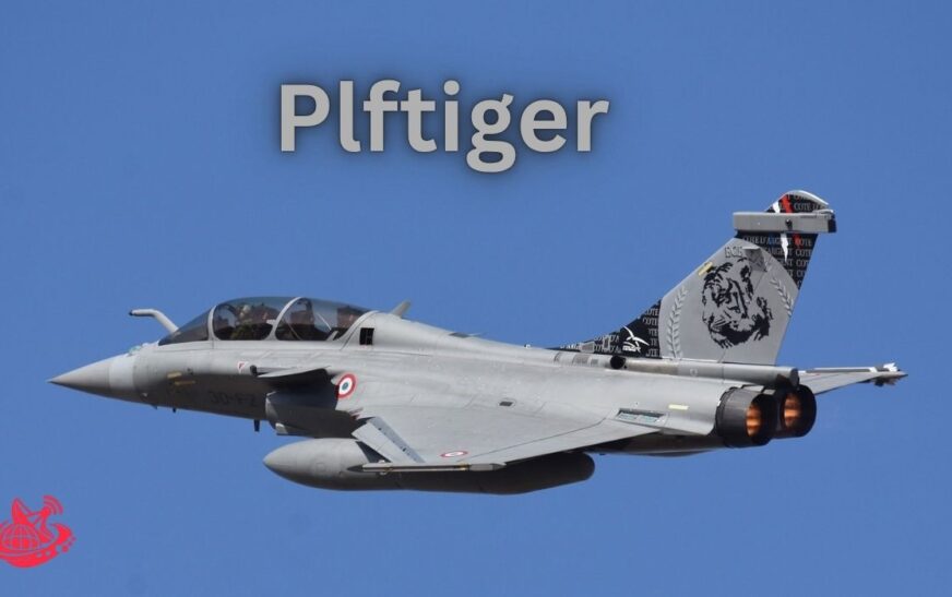 The Rise of Plftiger: Comprehensive Guide to Features, Applications, Growth, and Online Popularity