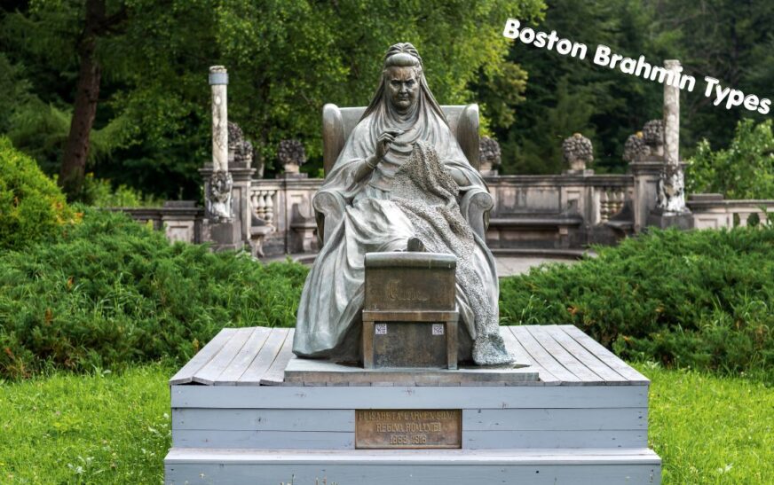 Boston Brahmin Types Explained: Understanding the Different Elite Lineages