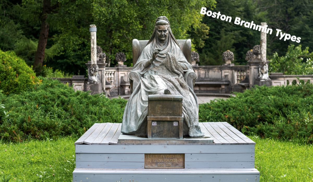 Boston Brahmin Types Explained: Understanding the Different Elite Lineages